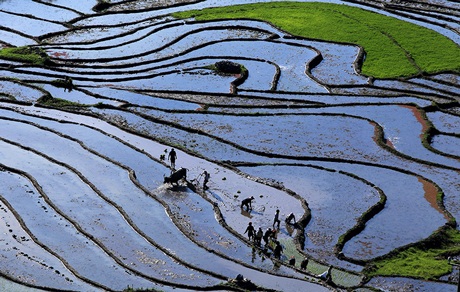 “Ngẩn ngơ” với ruộng bậc thang Sa Pa vào mùa nước đổ - 8 Tin & ảnh: