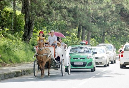 Dịch vụ xe ngựa vòng quanh hồ Xuân Hương hấp dẫn du khách