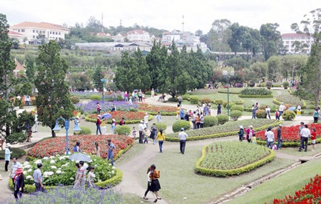 Du khách mê đắm cùng hoa Đà Lạt