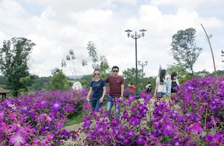 Du ngoạn thành phố ngàn hoa