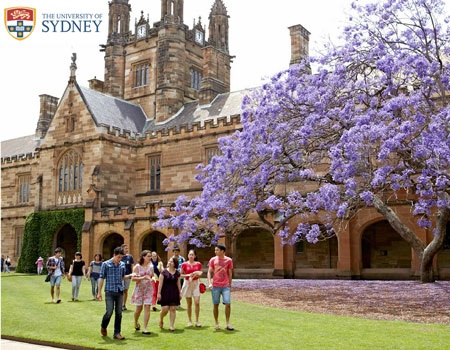 Đại học Sydney- TOP các trường đại học trên thế giới - 1 1/ Những thống kê ấn tượng về Đại học Sydney: