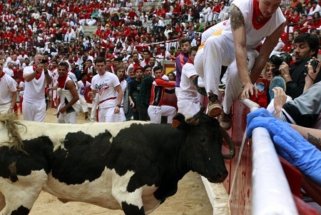 Một người tham gia cuộc chiến phải nhảy qua hàng rào để thoát khỏi sự tấn công của chú bò tót