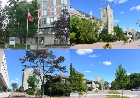 Hình ảnh về Trường đại học