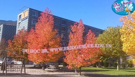 Khách sạn 4 sao Vatel -