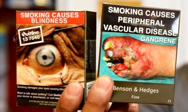 Quá tải tràn bệnh viện vì... thuốc lá - 1 Thuốc lá là nguyên nhân gây ra một loạt các bệnh nguy hiểm như tim mạch, ung thư, đột quỵ...