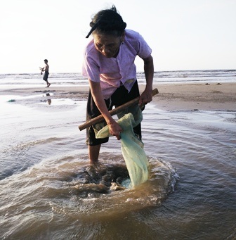 Từ sáng sớm đã có hàng chục người ra biển đi nạo giắt mưu sinh