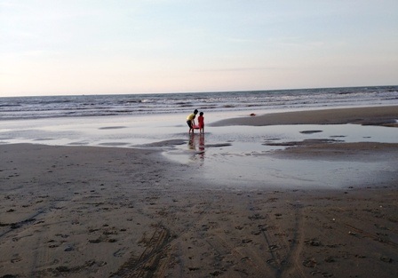 Những em nhỏ cũng theo bố mẹ mang rổ ra biển đi cào giắt