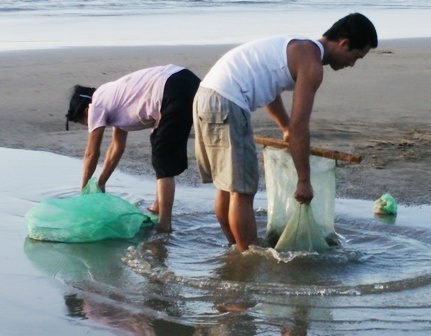 Sau khi nạo lớp cát mỏng phải đem ra nước đãi sạch sẽ chỉ còn mình giắt ở lại trong túi