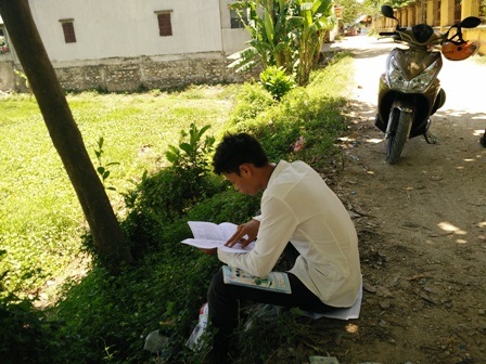 Ôn bài thi buổi chiều ngay dưới gốc cây.