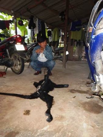 Khởi tố 2 đối tượng sát hại và vận chuyển trái phép 12 cá thể linh trưởng - 2 Đối tượng Đoàn Xuân Hòa kẻ đã có hành vi vận chuyển trái phép 1 cá thể voọc để về làm thịt nhậu