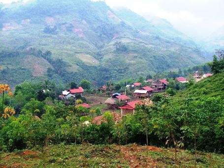 Đồng bào luôn tin, trong tương lai cây cao su sẽ mang lại no ấm cho họ 