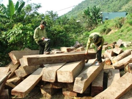 Hai cán bộ bảo vệ rừng bị lâm tặc chém trọng thương - 1 Vì mâu thuẫn với cán bộ bảo vệ lâm trường nên Thành đã dùng dao chém hai cán bộ trọng thương (