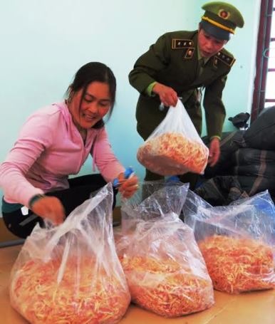 Phát hiện 340kg mực sấy khô được làm từ sắn - 1 Số mực sấy khô xé rời được cho là làm từ sắn bị lực lượng chức năng phát hiện và thu giữ