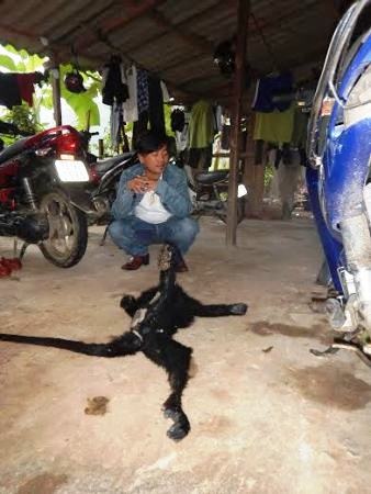 Khởi tố 2 vụ vận chuyển động vật quý hiếm - 1 Đối tượng Đoàn Xuân Hòa bị bắt và khởi tố vì hành vi vận chuyển trái phép động vật quý hiếm