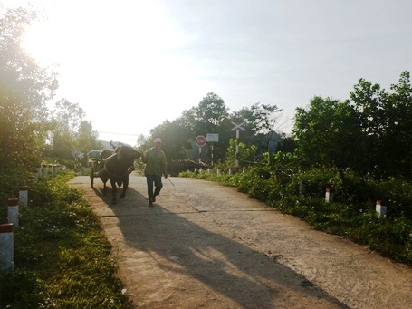 Hiểm họa chết người từ những đường dân sinh cắt ngang đường tàu - 4 Văn Lịnh