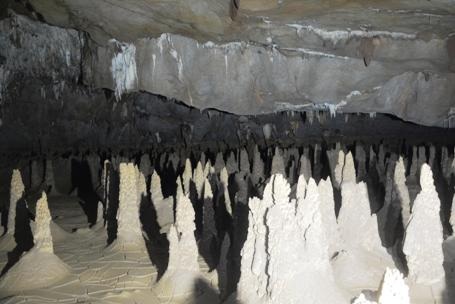Những khối thạch nhũ rất kỳ lạ trong hang Va và hang Nước Nứt
