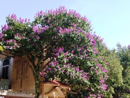 Tháng năm đã về ...