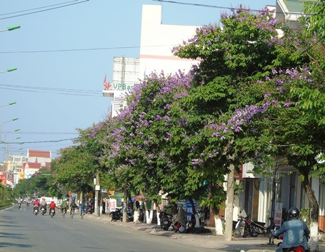 ... như làm dịu đi bớt cái nắng gay gắt trên từng tuyến phố