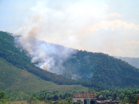 Giữa cái nắng nóng cao độ của miền Trung, các vụ cháy rừng xảy ra liên miên.