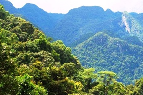 VQG Phong Nha - Kẻ Bàng được UNESCO vinh danh lần thứ 2 - 2 VQG Phong Nha - Kẻ Bàng được biết đến với độ che phủ rừng lớn và sự đa dạng sinh học