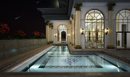 Vì sao Đàm Vĩnh Hưng thích dự án D’.Palais de Louis?