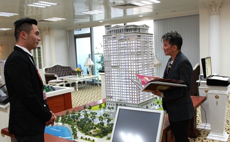 Vì sao Đàm Vĩnh Hưng thích dự án D’.Palais de Louis?