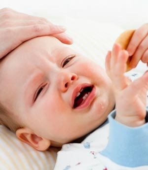 Dinh dưỡng giúp trẻ giảm thiểu đau ốm mùa nồm ẩm - 4 Các virus sinh sôi nảy nở từ nền nhiệt độ ẩm thấp