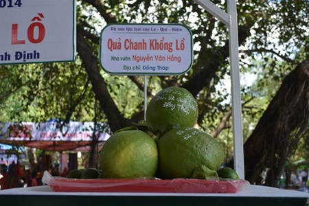 Bộ sưu tập củ quả khổng lồ