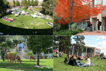 Du học và định cư tại Canada, hiểu về cuộc sống ở nước ngoài sao cho đúng?