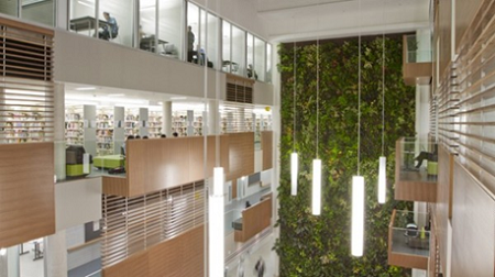 Du học sinh quốc tế tại Canada ngày càng tăng (Nguồn: Citizenship and Immigration Canada)