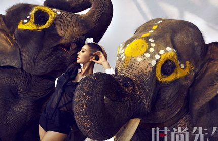 Ngắm Phạm Băng Băng đầu trọc tạo dáng với... voi - 1 Ngắm Phạm Băng Băng đầu trọc tạo dáng với... voi - 1