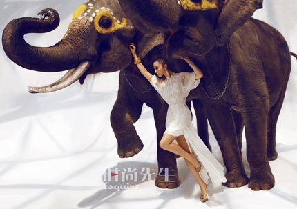 Ngắm Phạm Băng Băng đầu trọc tạo dáng với... voi - 2 Ngắm Phạm Băng Băng đầu trọc tạo dáng với... voi - 2