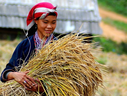 Vẻ đẹp hút hồn thiếu nữ Dao Lào Cai - 11 Vẻ đẹp hút hồn thiếu nữ Dao Lào Cai - 11