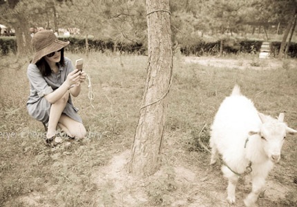 Châu Tấn nồng nàn sắc đỏ - 7