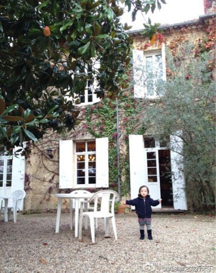 Vợ chồng Triệu Vy mua lâu đài tại Pháp - 2