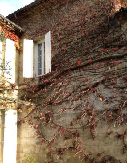 Vợ chồng Triệu Vy mua lâu đài tại Pháp - 3