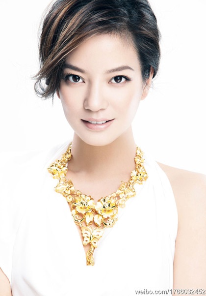 Vợ chồng Triệu Vy mua lâu đài tại Pháp - 5