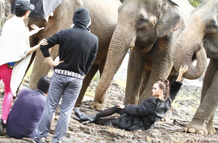 Tò mò xem thí sinh Top Model chụp ảnh với…voi - 10