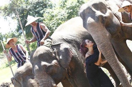 Tò mò xem thí sinh Top Model chụp ảnh với…voi - 7