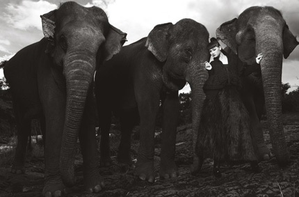 Tò mò xem thí sinh Top Model chụp ảnh với…voi - 17