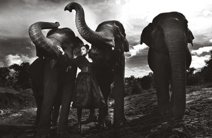 Tò mò xem thí sinh Top Model chụp ảnh với…voi - 18