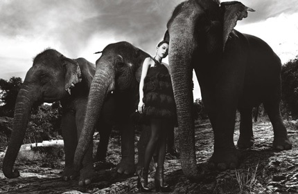 Tò mò xem thí sinh Top Model chụp ảnh với…voi - 19