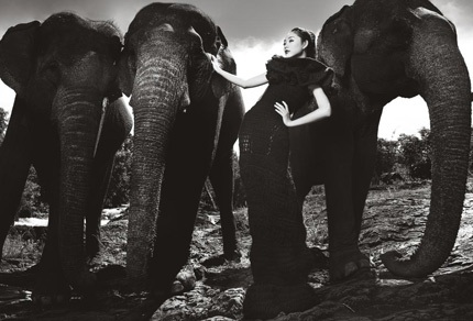 Tò mò xem thí sinh Top Model chụp ảnh với…voi - 21