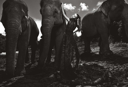 Tò mò xem thí sinh Top Model chụp ảnh với…voi - 22