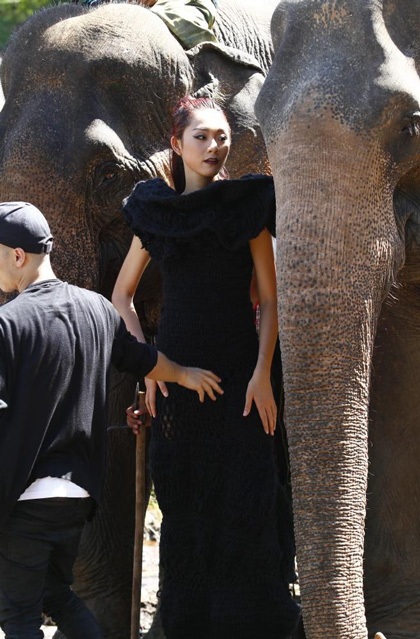 Tò mò xem thí sinh Top Model chụp ảnh với…voi - 8