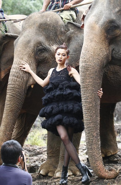 Tò mò xem thí sinh Top Model chụp ảnh với…voi - 11