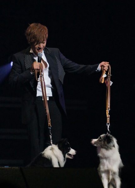 “Mỹ nam” Kim Hyun Joong mang chó cưng lên sân khấu - 7 “Mỹ nam” Kim Hyun Joong mang chó cưng lên sân khấu - 7