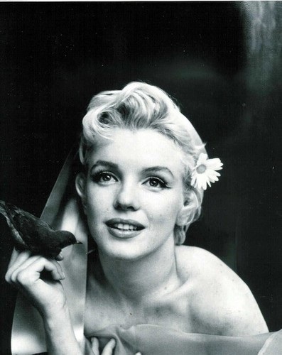 Những bức hình đen trắng độc của “biểu tượng sex” Marilyn Monroe - 28 Những bức hình đen trắng độc của “biểu tượng sex” Marilyn Monroe