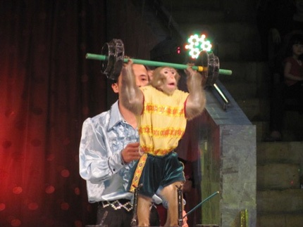 Mãn nhãn với đêm gala xiếc toàn quốc