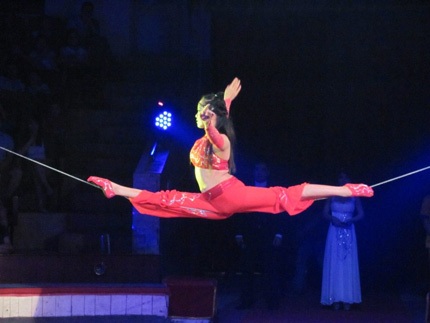 Mãn nhãn với đêm gala xiếc toàn quốc